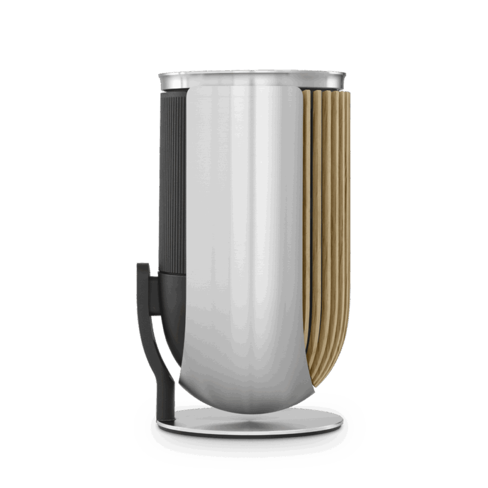 Beolab 8 - Nautral aluminium Oak