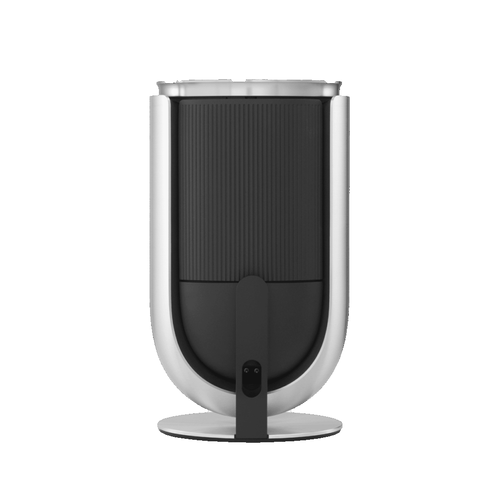 Beolab 8 - Nautral aluminium Oak