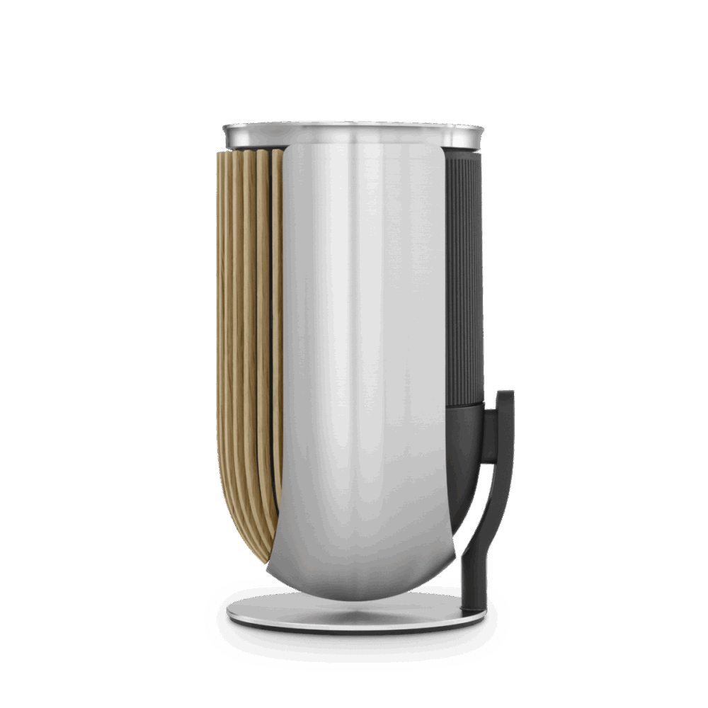 Beolab 8 - Nautral aluminium Oak