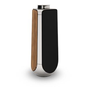 Beolab 50 - Oak