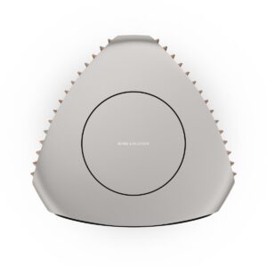 Beolab 50 - Oak
